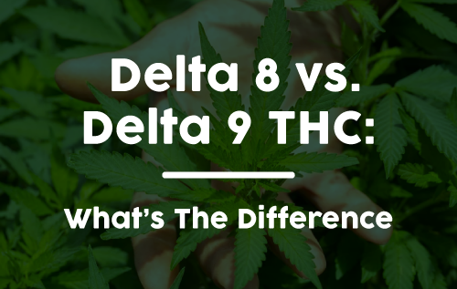 Delta 8 and Delta 9 Edibles: Pros, Cons, and Finding the Right Fit